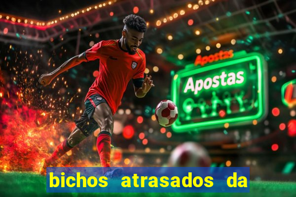 bichos atrasados da loteria federal
